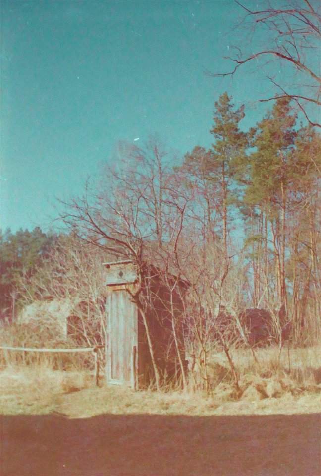 Among trees