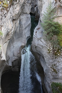 Parker Ridge Trail in the Canadian Rockies photo