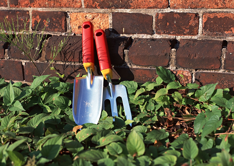 two gardening tools