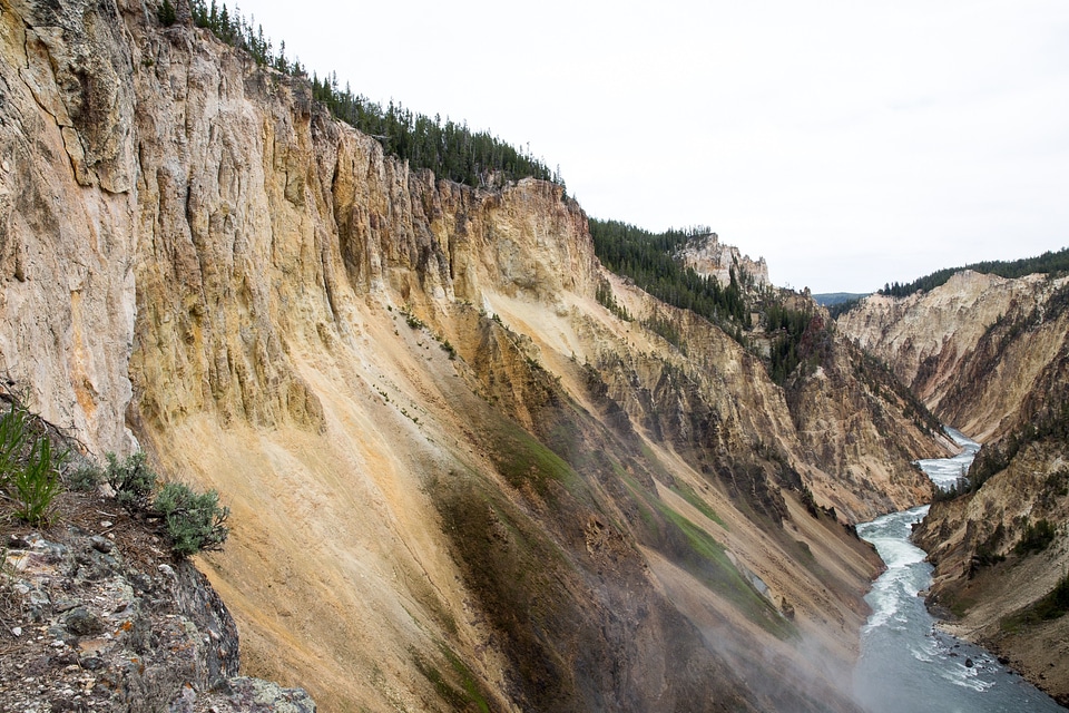Yellowstone National Park, Wyoming USA