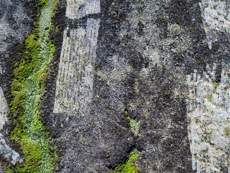 Heather cutting on Yorkshire Water's Thornton Moor