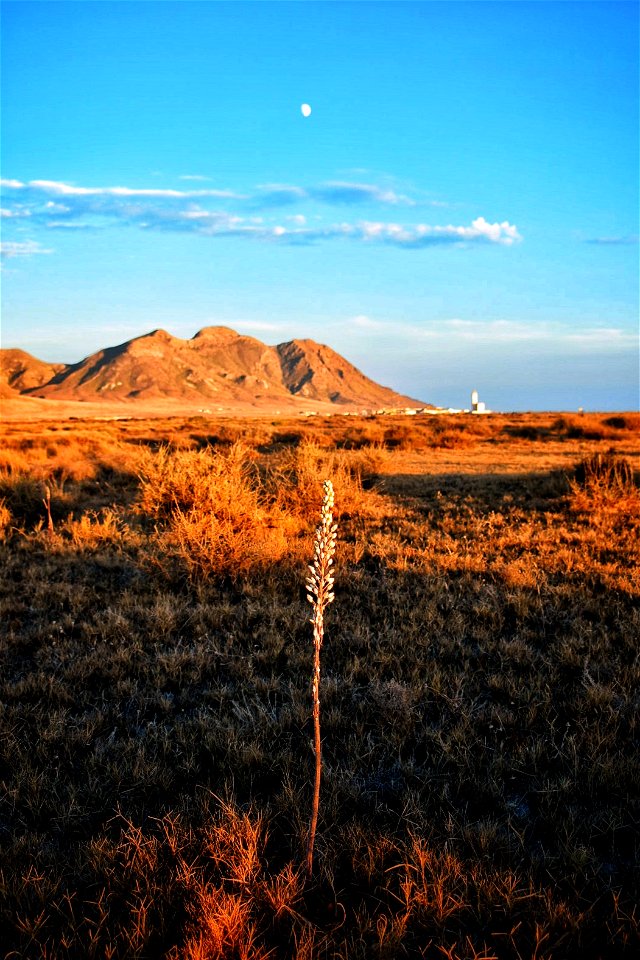 Sierra de Cabo de Gata, La Testa