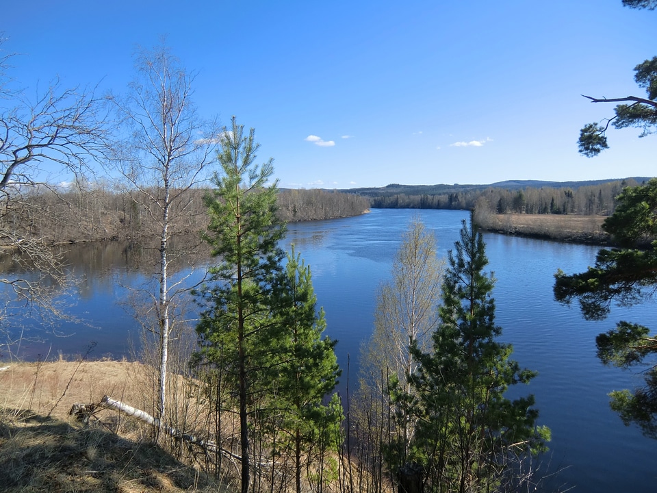 Dal River in central Sweden