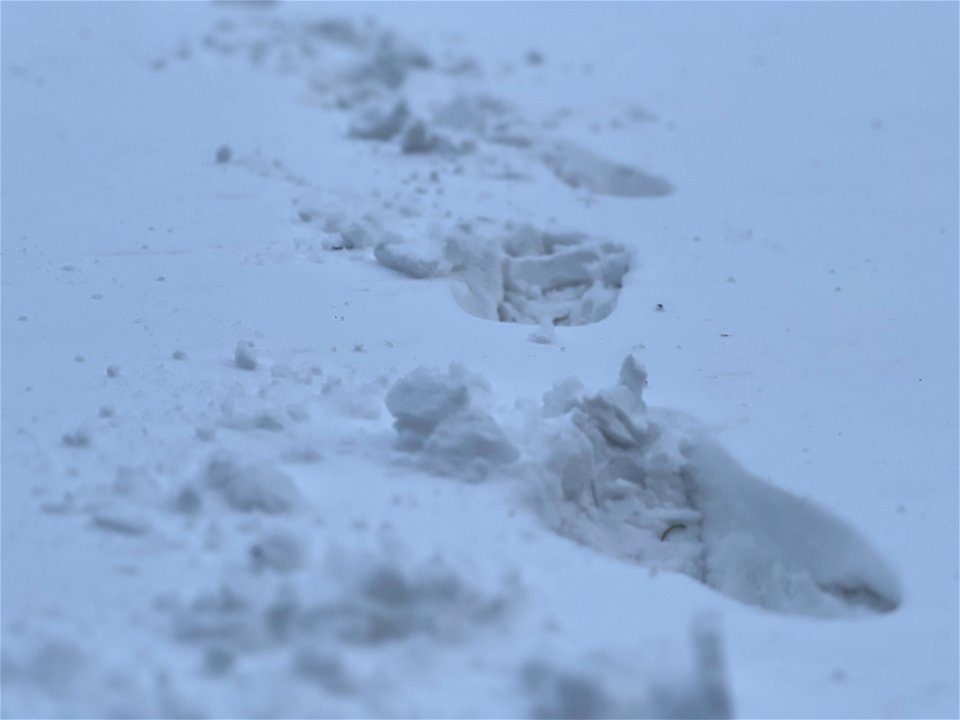 Footprints
