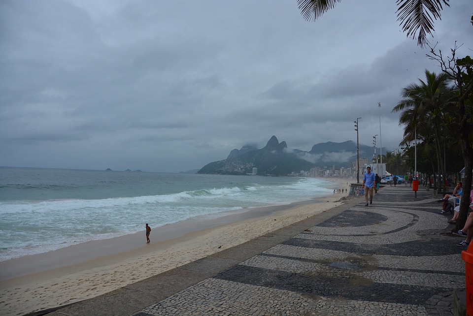 Palms and Two Brothers Mountain on Ipanema beach
