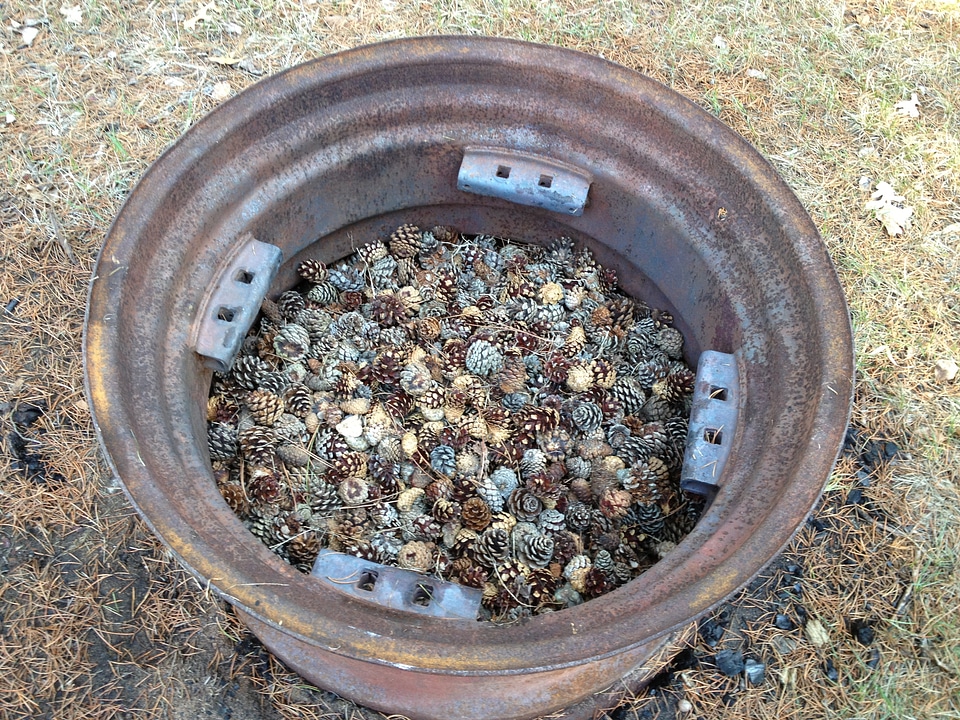 Pine cones in a fire pit