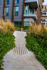 181104 Woodberry Down + Spring Park SuDS (8 of 19)