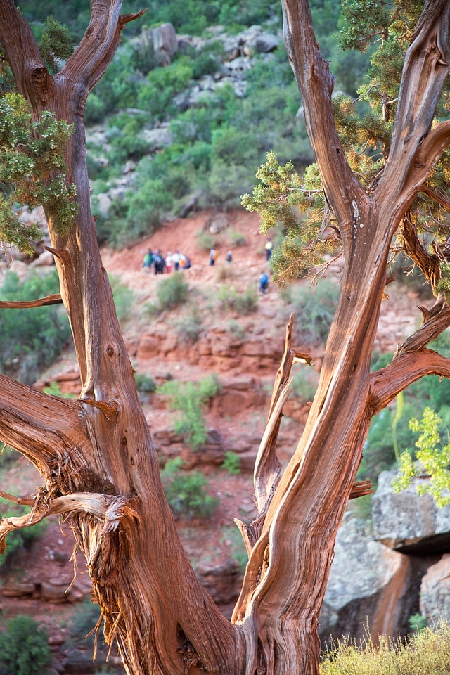 Rocky hiker path in the side of the valley of the Grand Canyon