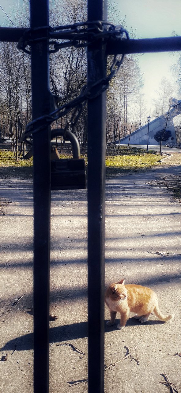 owner of the Park