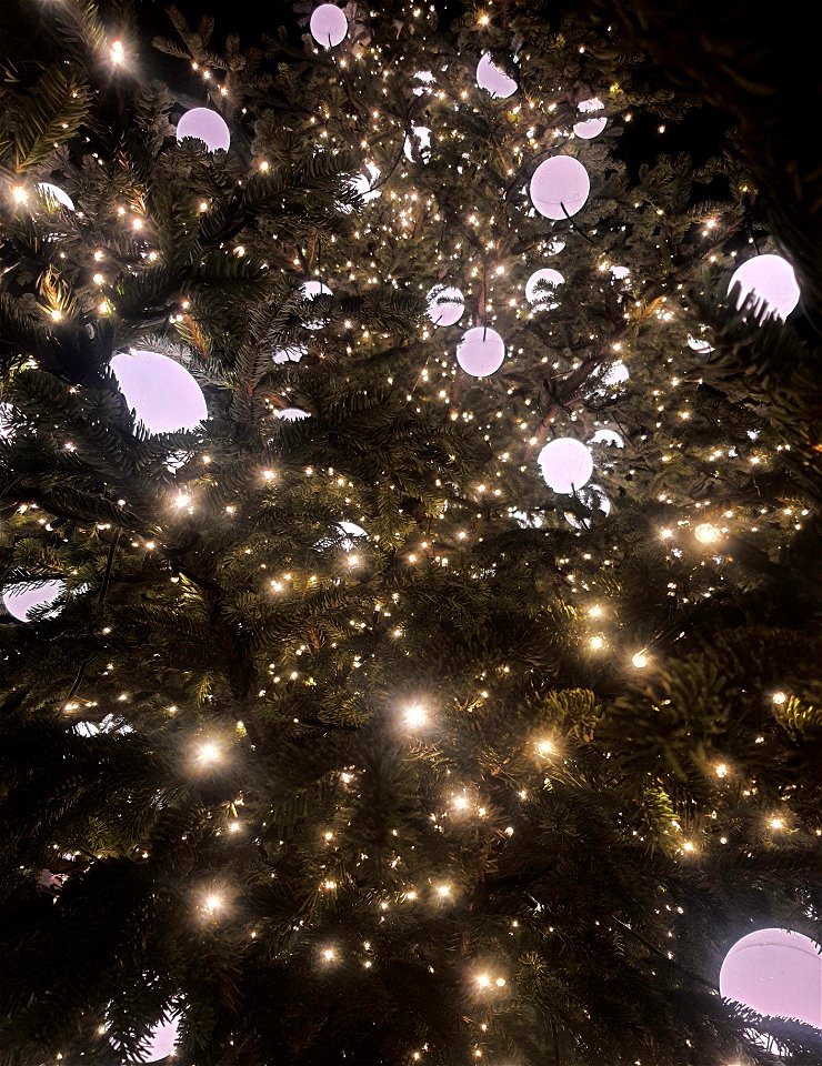 Weihnachtslichter