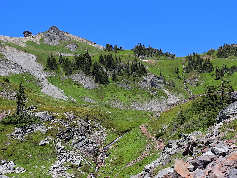 Goat Rocks Wilderness