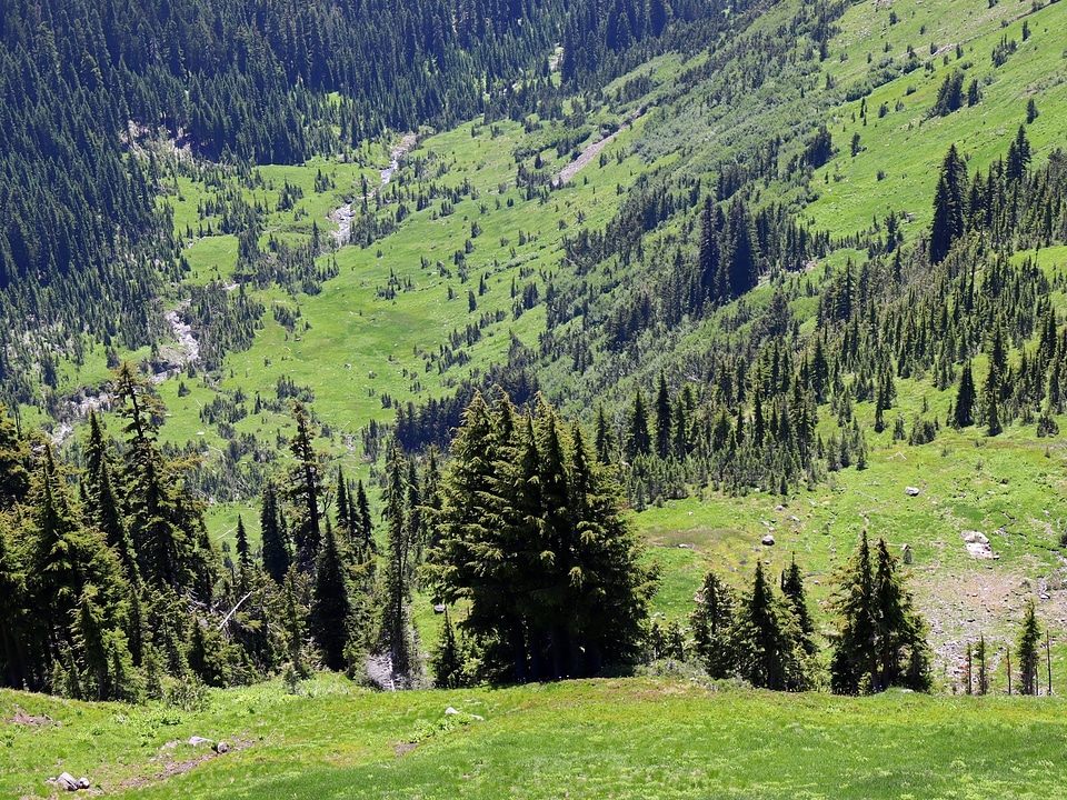 Goat Rocks Wilderness