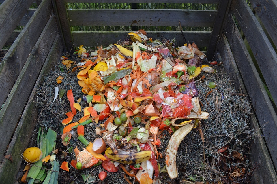 Green waste compost compost bin