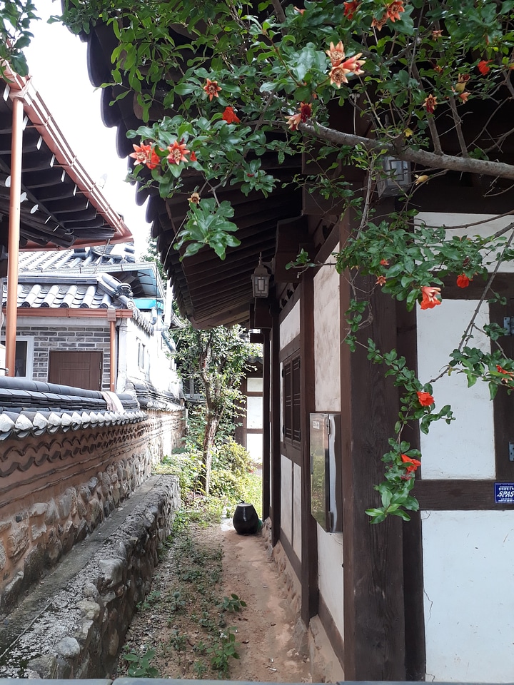 Jeonju Hanok Village in Jeonju, South Korea
