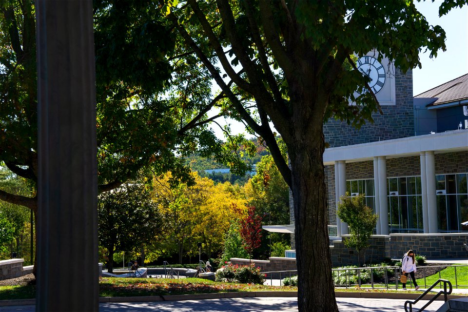 JMU D-Hall
