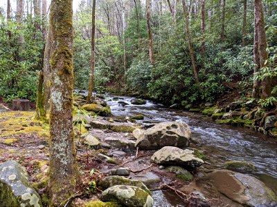 West Prong
