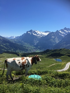 Famous Eiger, Monch and Jungfrau mountains