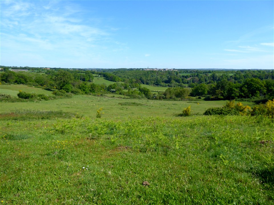 Tiffauges depuis Torfou