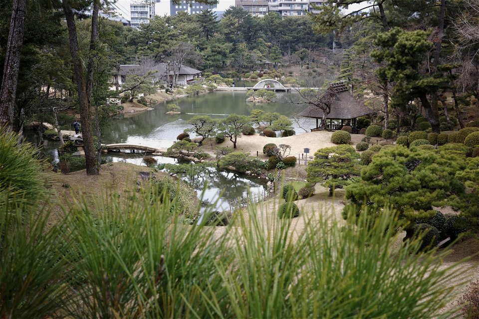 garden