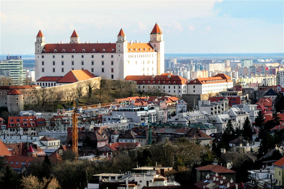 P1012054