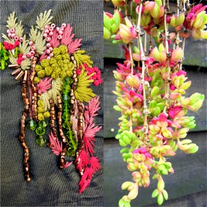 Hanging succulents