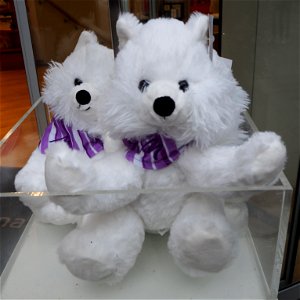 Plushy dogs toy, Мягкая игрушка собака