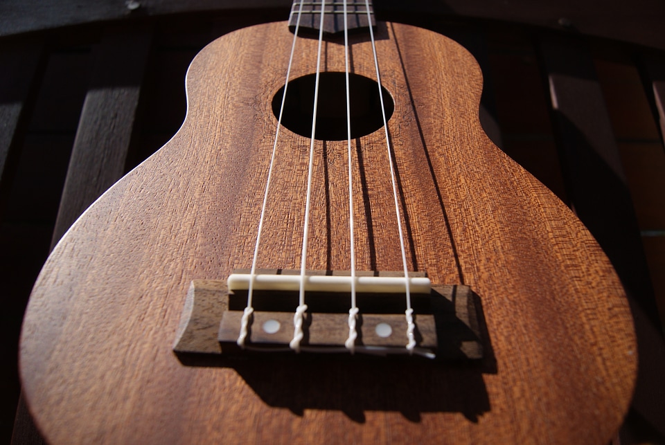 Hollow wood instrument