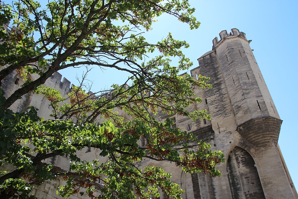Avignon Pope Palais Des Papes France Architecture