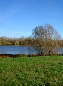 Noon on the Loire