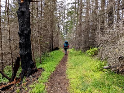 Point Reyes