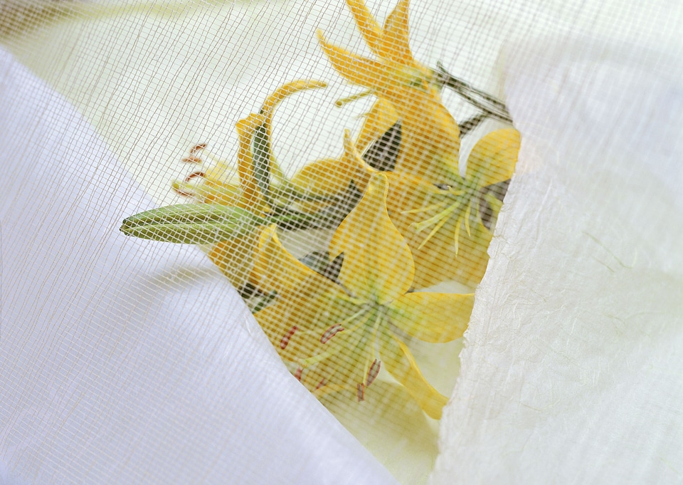 Yellow lilies in vintage style