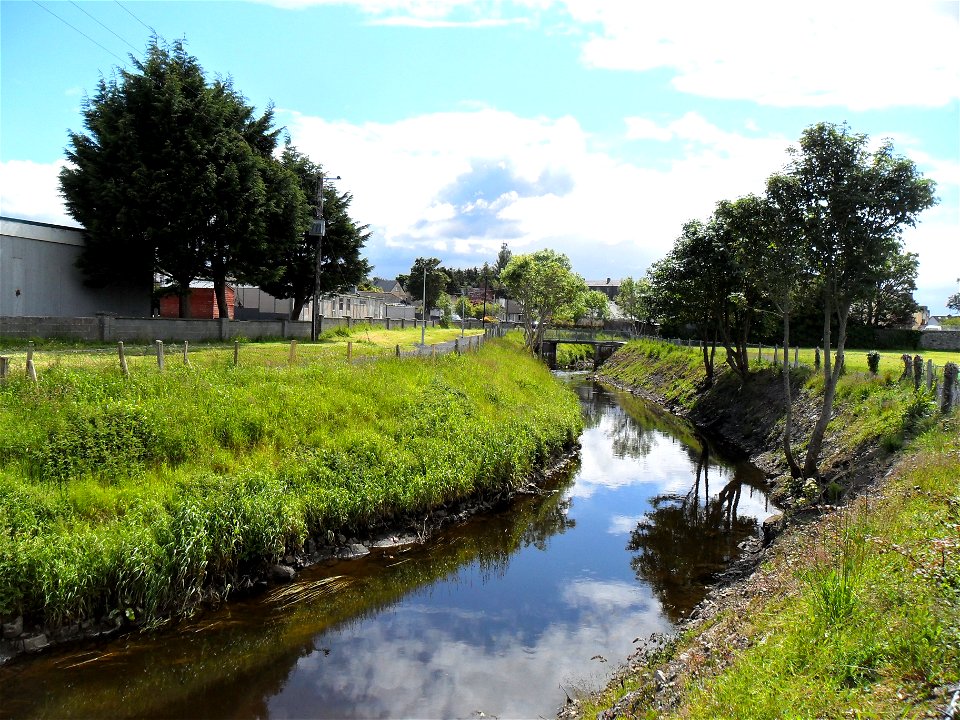 Castlebar River Clean up