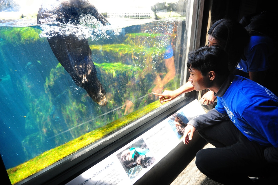 Monterey Bay Aquarium