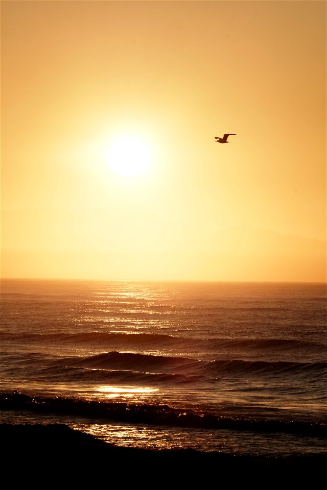 Muizenberg Sunrise 1 photo