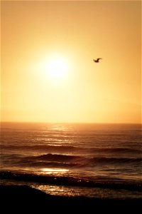 Muizenberg Sunrise 1 photo