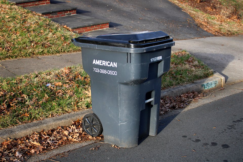 American Disposal 95g Rehrig