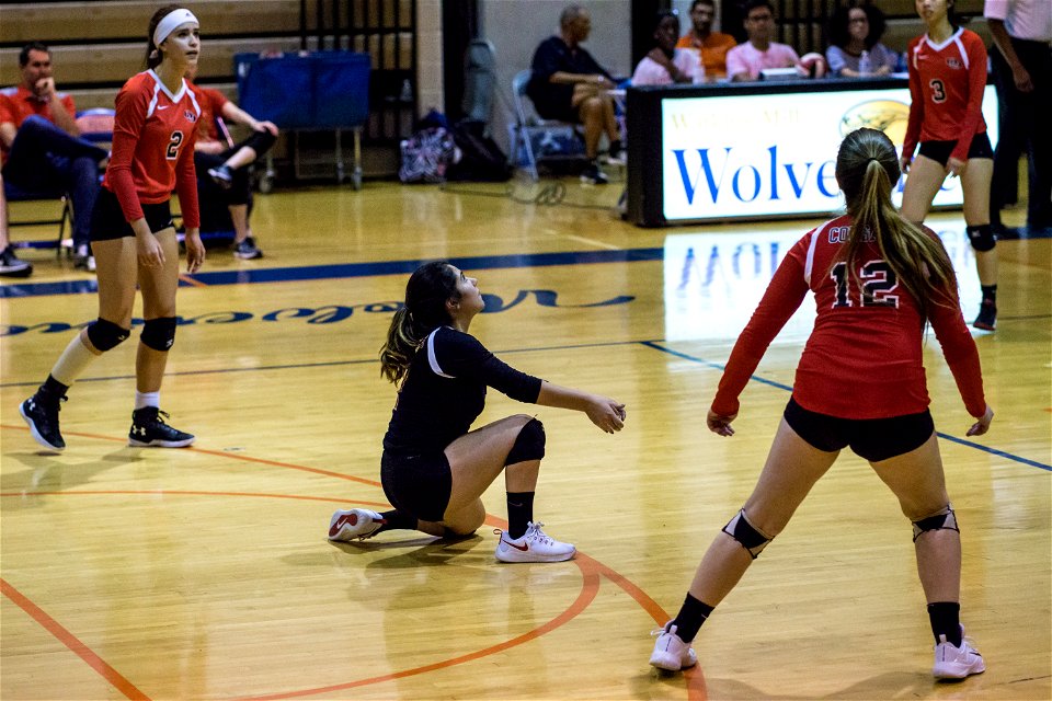QO@Watkins_Mill_-2