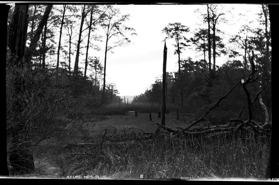Kodak Folding No. 3A - Ilford HP5+ 120 Film - 2023