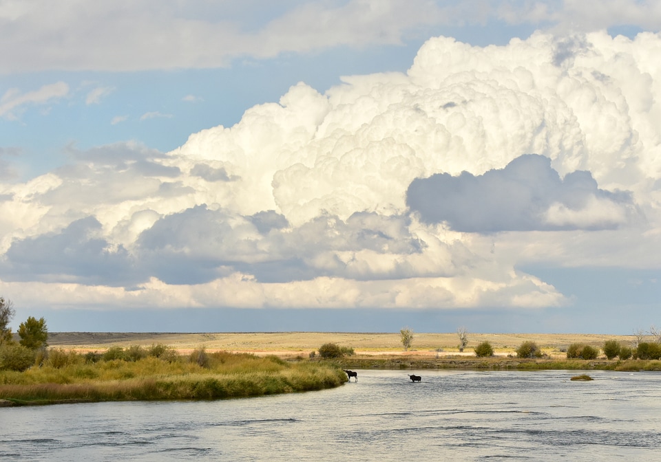 Seedskadee National Wildlife Refuge