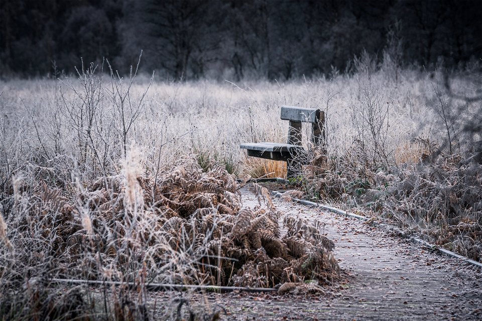 Flanders moss National nature reserve