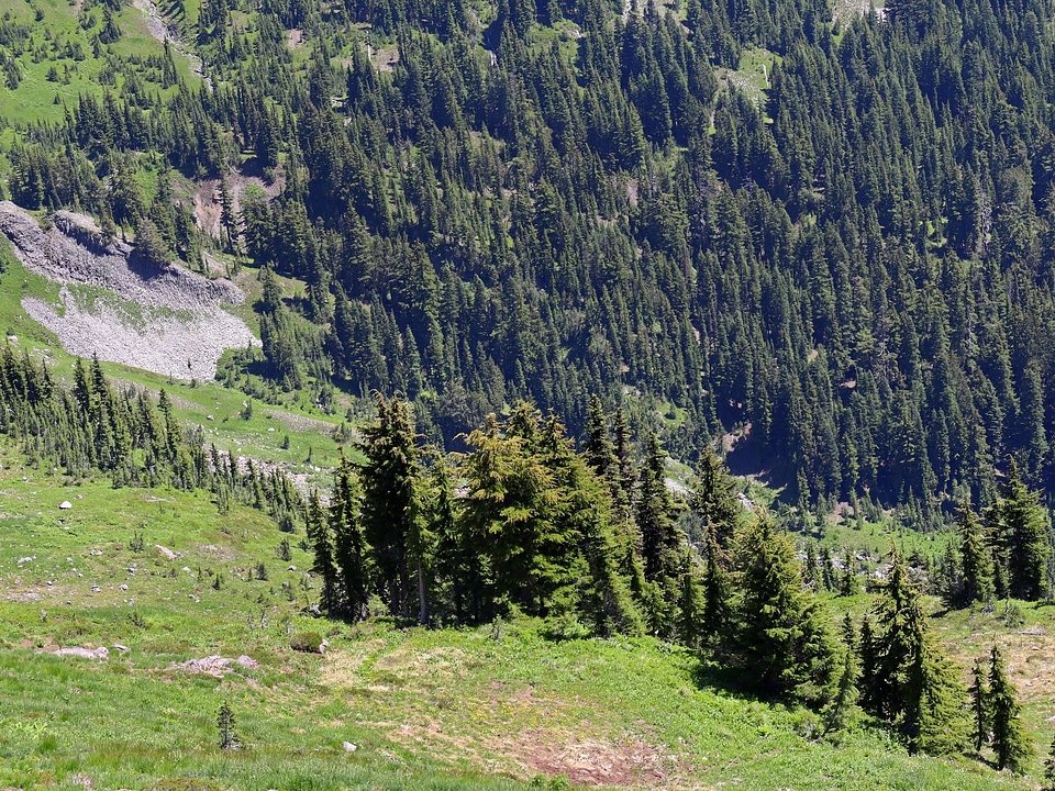Goat Rocks Wilderness