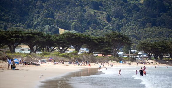 Apollo Bay on a Summer's Day photo