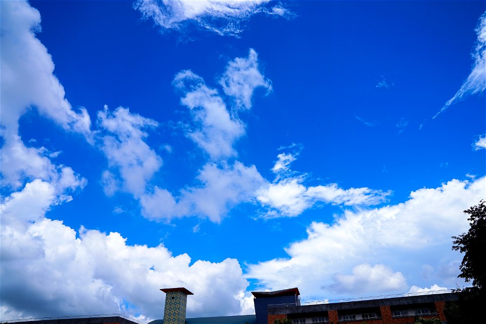 DSC04226