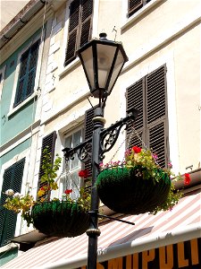DSC05795
