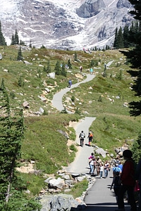 Trail through Paradise in Mount Rainier National Park, Washington photo
