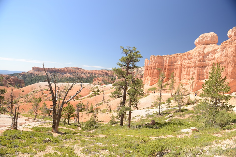 Sun is shining in the early morning. Bryce Canyon National Park