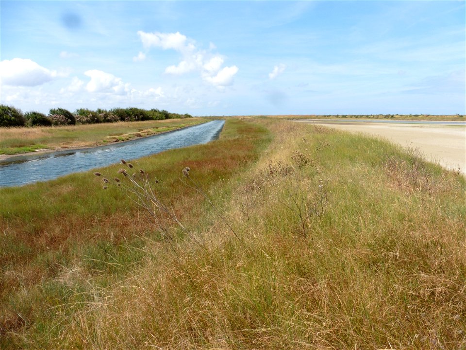 Littoral charentais, Oléron, Moëze