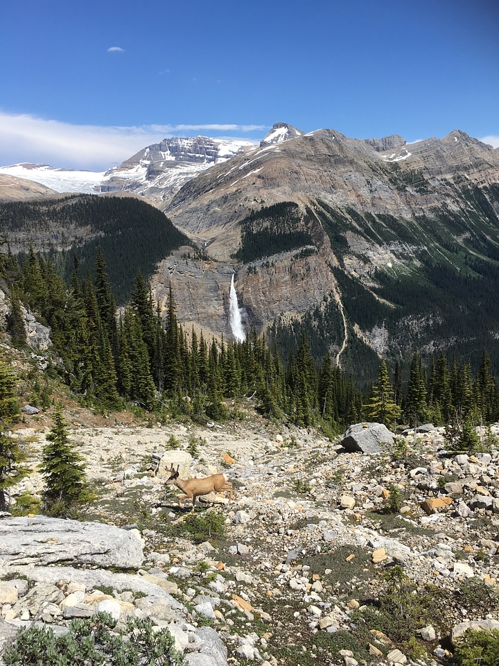 The Iceline Trail in Yoho National Park, Canadian Rockies