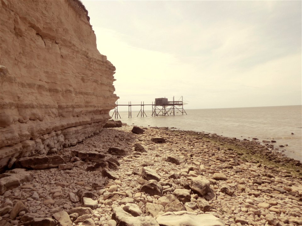 Falaises d'Esnandes