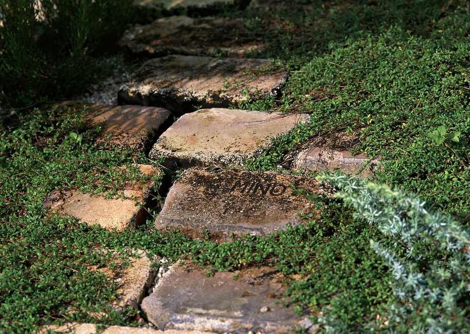 walkway and green grass beside